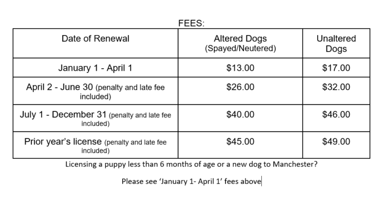 Dog Licenses and Dog Ordinance – Town Clerk